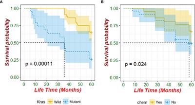 Analysis of KRAS, NRAS, and BRAF Mutations, Microsatellite Instability, and Relevant Prognosis Effects in Patients With Early Colorectal Cancer: A Cohort Study in East Asia